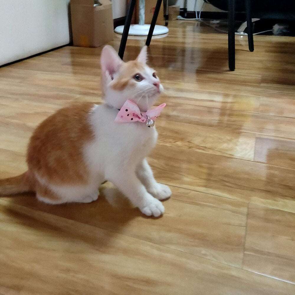 Cat Accessories | Bow Tie Collar with Bell | Breakaway Bowtie for Kitten & Small Dog | Pet Grooming Products