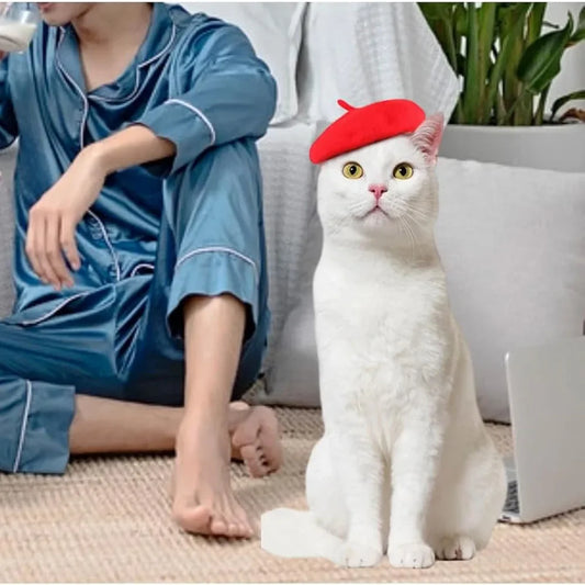Wool Puppy Beret | Adjustable Pet Hat