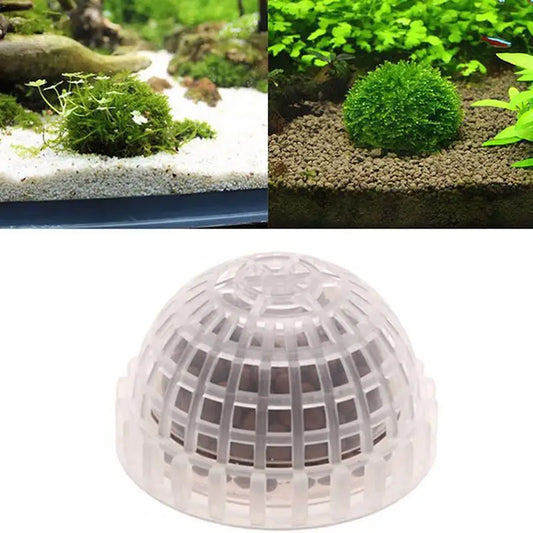 Aquarium Moss Ball Dome | Easy Installation