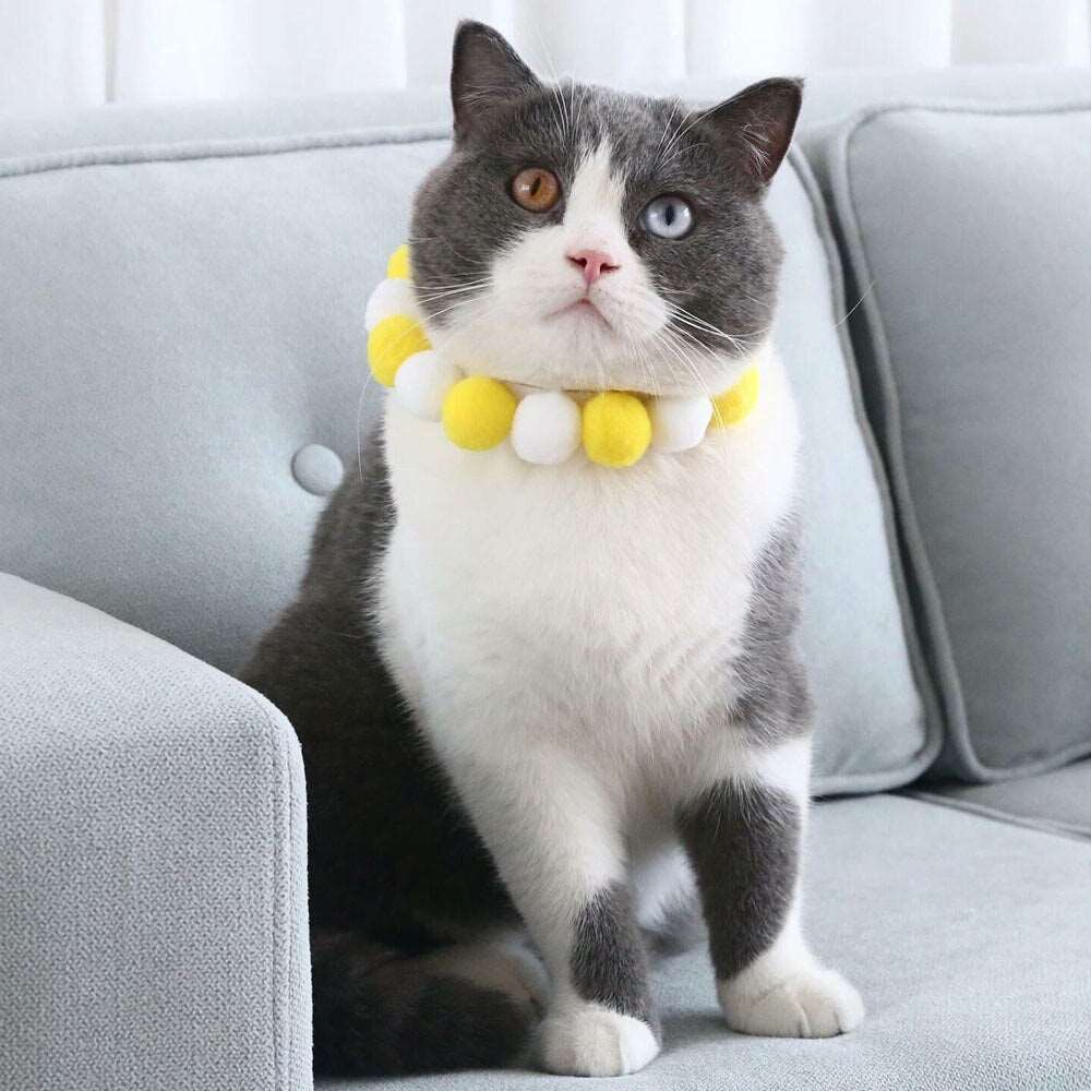 Adjustable Pet Collars with Plush Ball for Cats, Puppies, and Dogs | Fashionable and Cute Pet Accessories