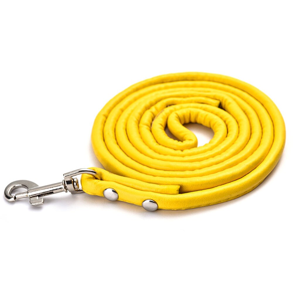 Round Colourful PU Rolled Dog Leash | Durable Lead for Small to Medium Breeds | Multiple Colours Available