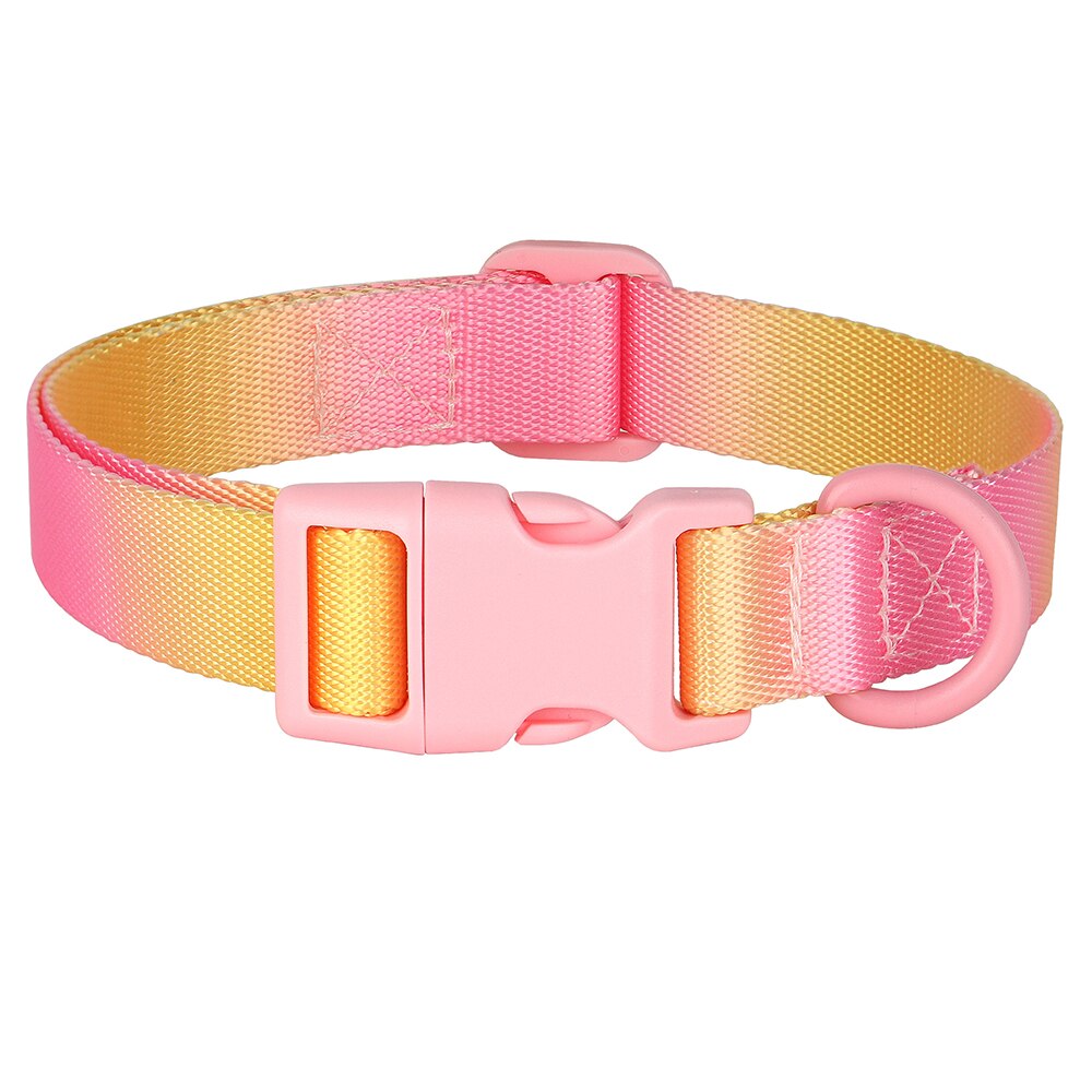 Cute Nylon Dog Collar Colourful Print Pet Collars | Fashion Printed Style Puppy Collar for Small & Medium Dogs