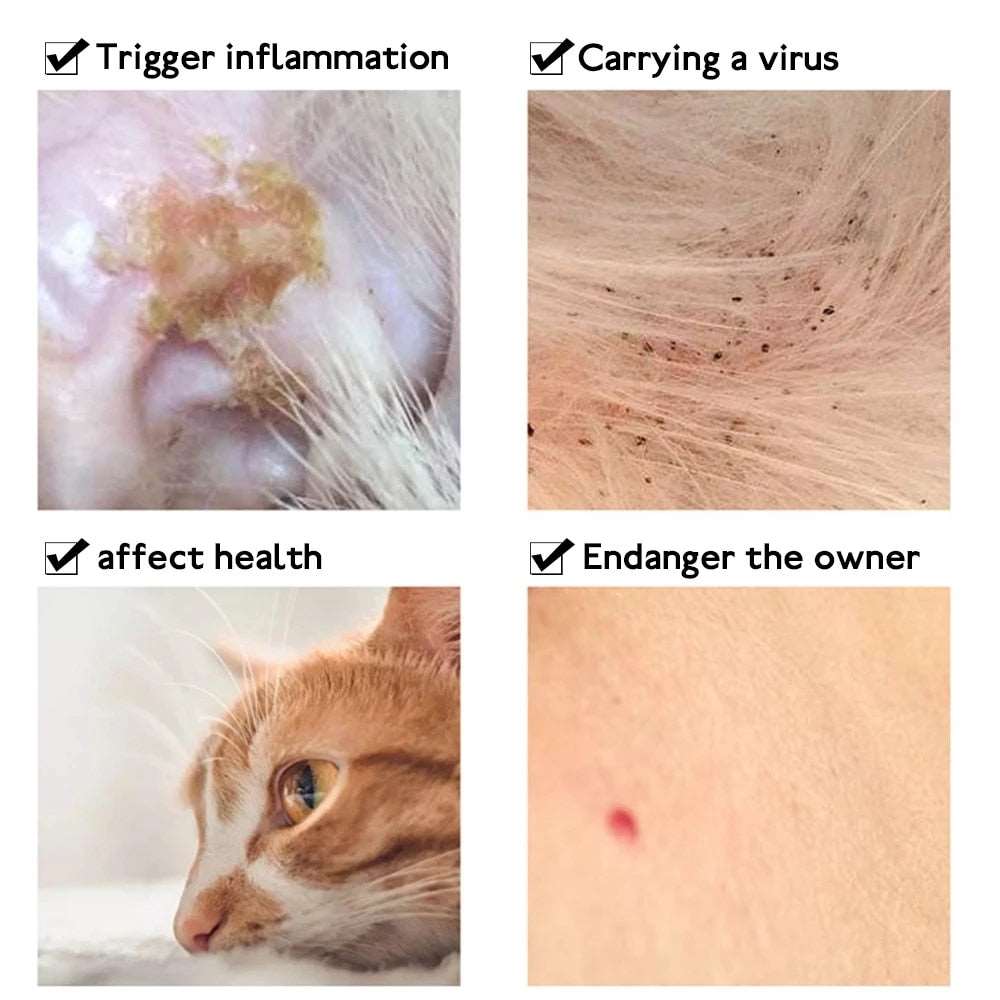 8-Month Anti Flea Tick Collar for Cat and Small Dog | Adjustable, Breakaway Pet Accessory, Long-lasting Protection