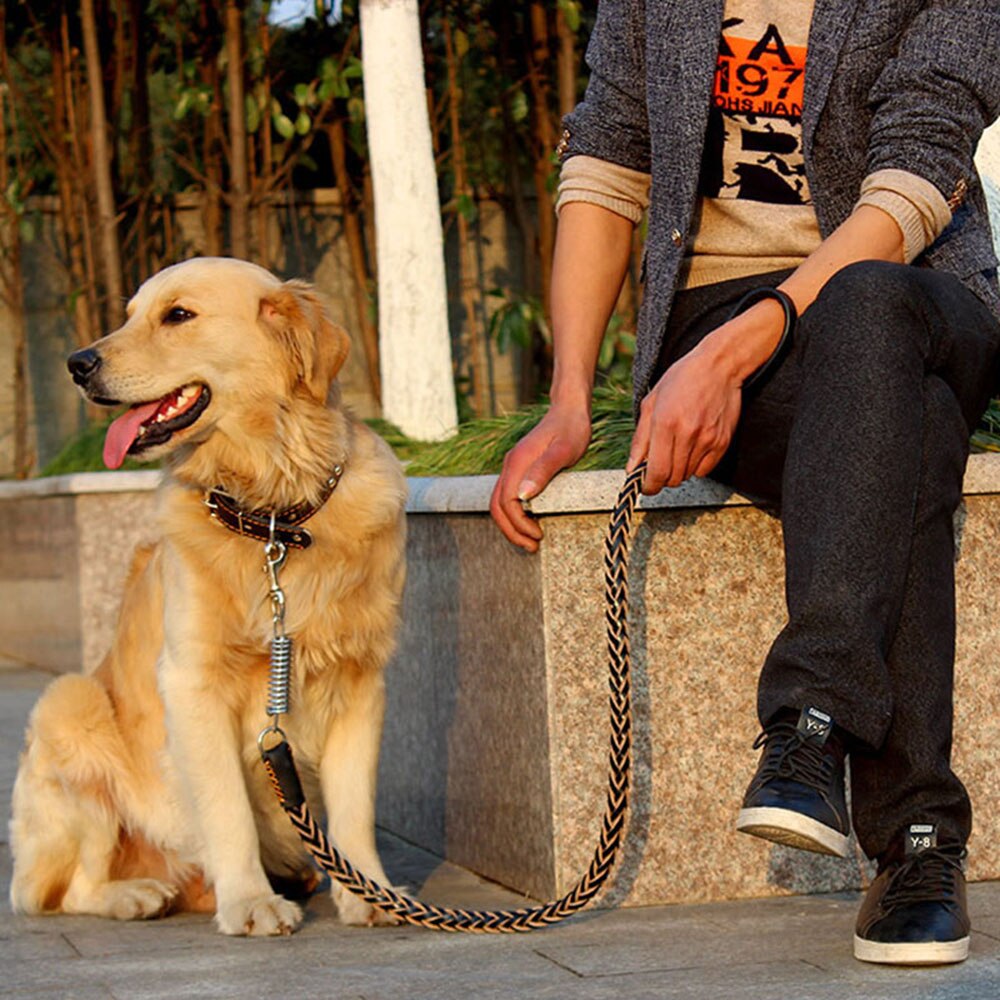 Durable Braided Leather Dog Leash | No Pull Cowhide Leash with Buffer Spring for Large and Medium Dogs