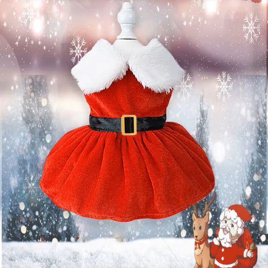 Pet Dresses | Christmas Party Skirt | S-XL