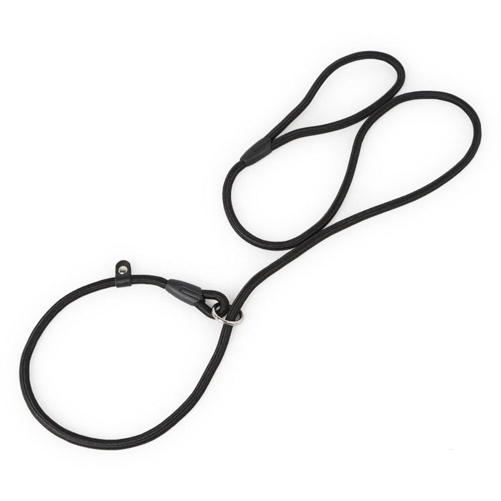 Nylon Slip Lead Dog Leash | Adjustable Training No-Pull Rope for Small Dogs
