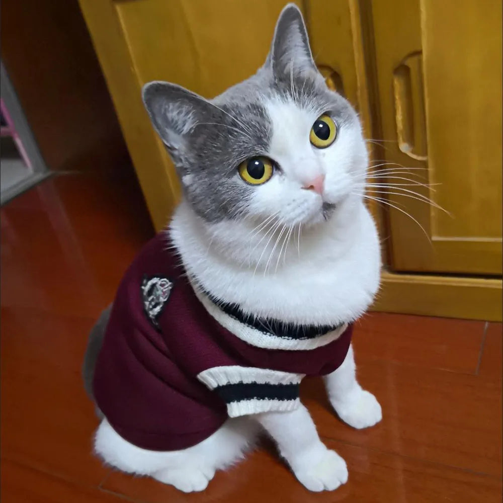 Cosy Dog & Cat Sweater Hoodie Pullover | Warm Knitwear for Small Pets - Autumn & Winter Outfit