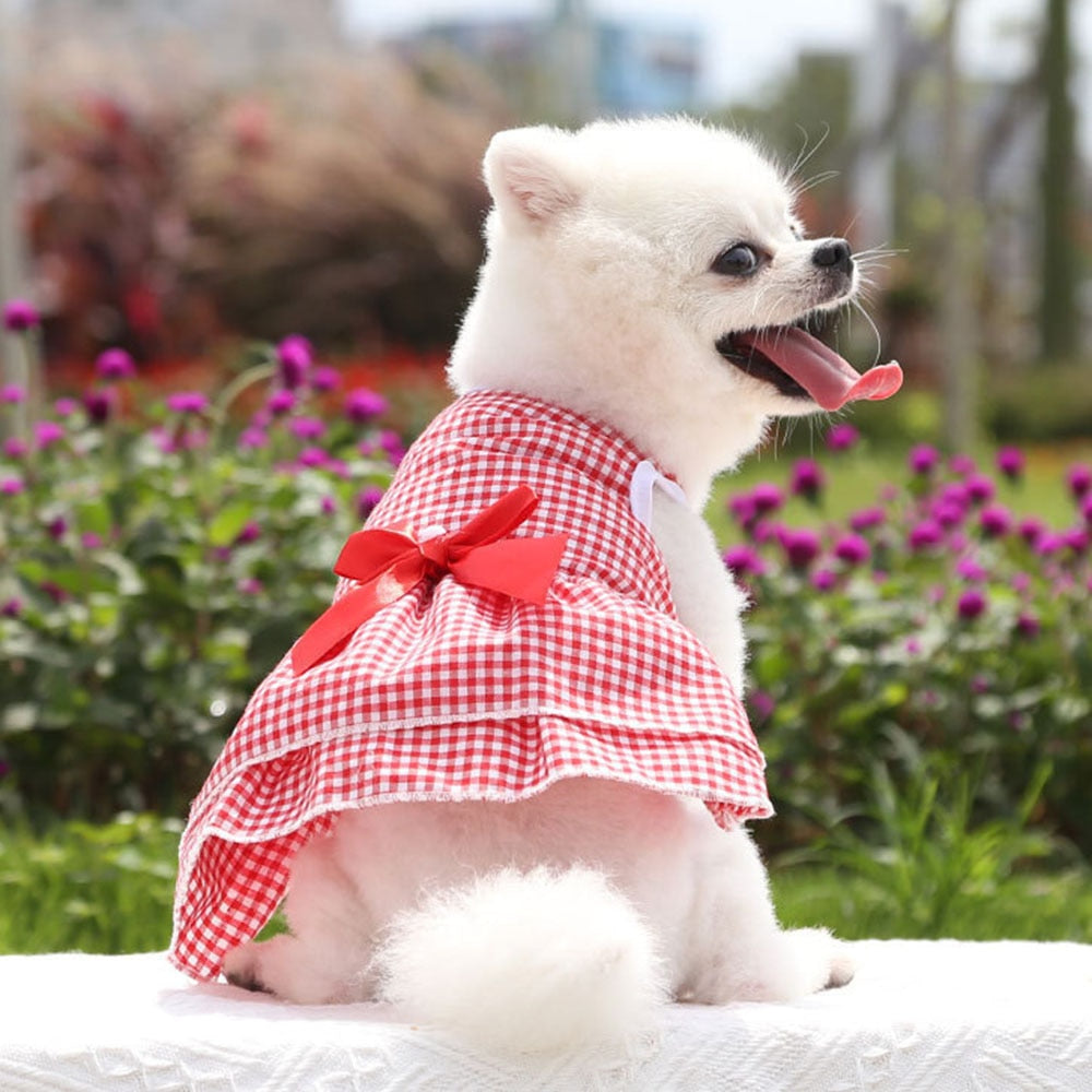 Summer Gingham Dog Dress | Adorable Pet Apparel with Bow Details and Lightweight Design for Small Dogs and Cats