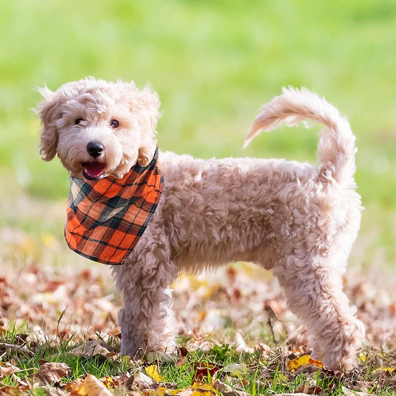 Plaid Pet Bandana Cotton Handkerchief | Soft and Comfortable Triangular Bandanas for Dogs and Cats