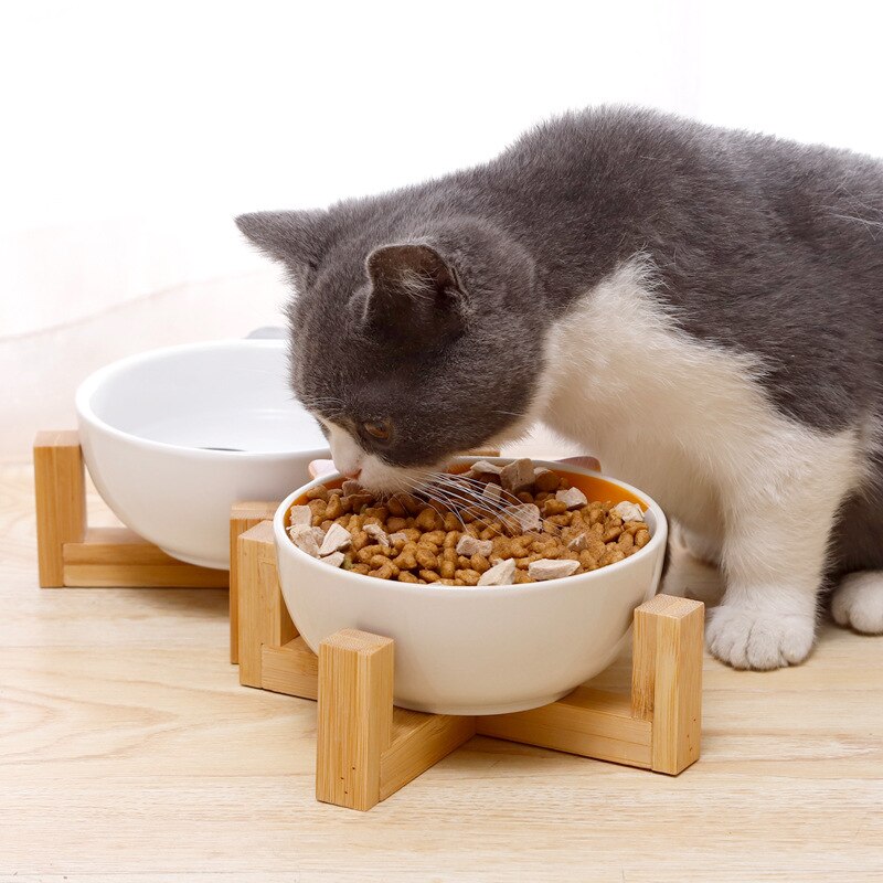 Ceramic Elevated Pet Bowl | Raised Cartoon-Printed Dog & Cat Dish with No-Spill Design for Food & Water
