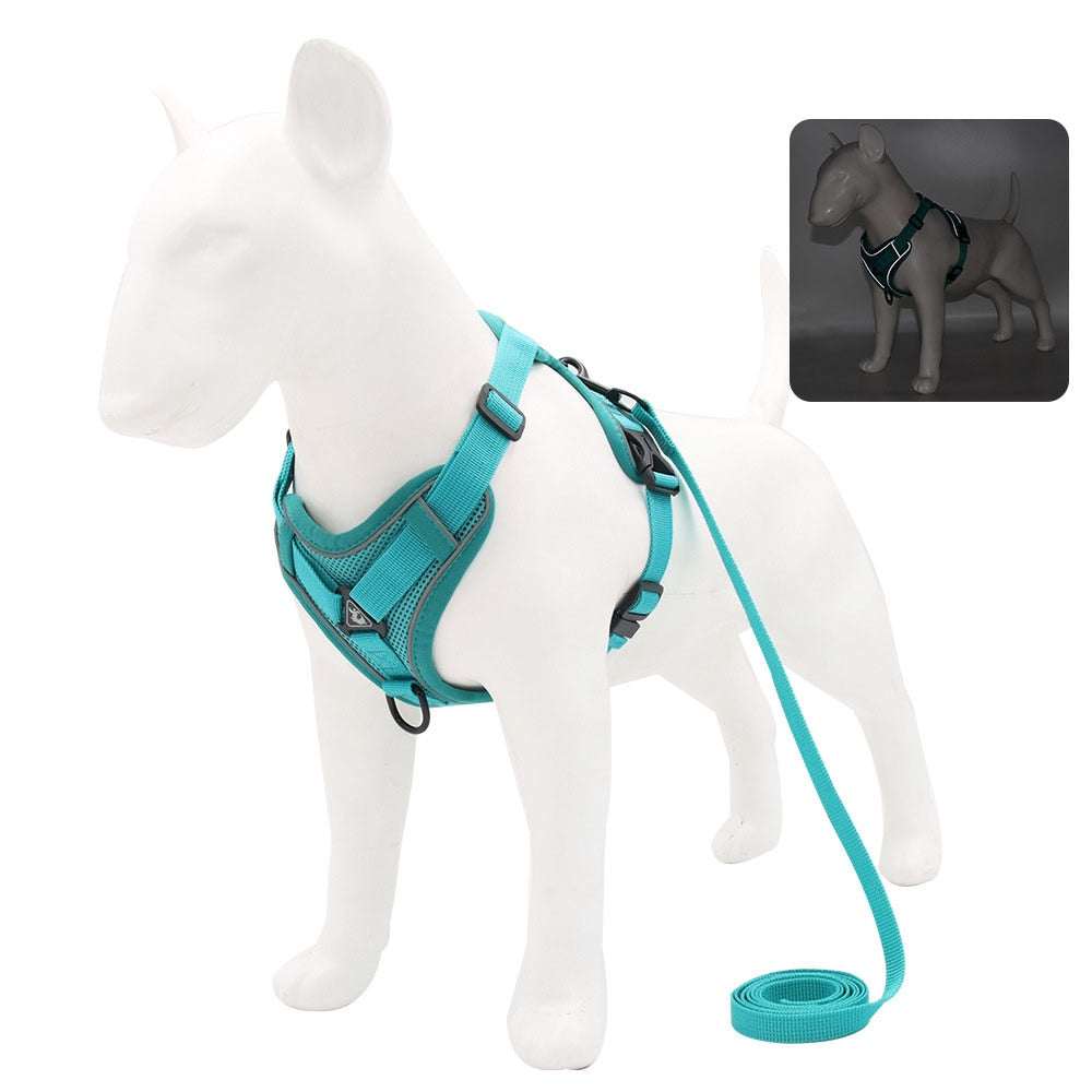 Adjustable Breathable Pet Harness with Leash | Perfect for Cats, Small Dogs, and Puppies | Soft and Comfortable Fit