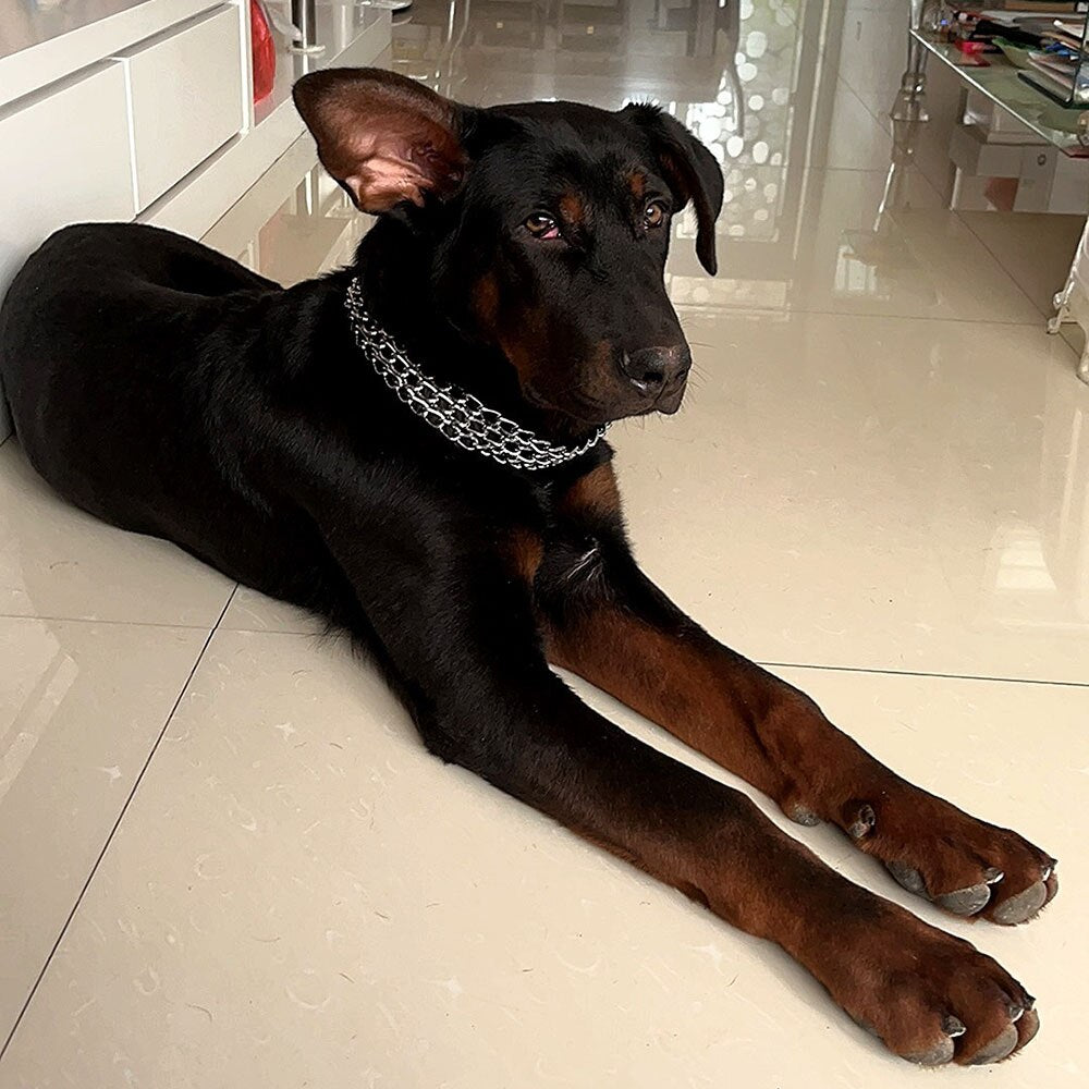3 Rows Stainless Steel Dog Chain Collar | Strong Metal Slip Pinch Choke Collar for Walking and Training Large Dogs