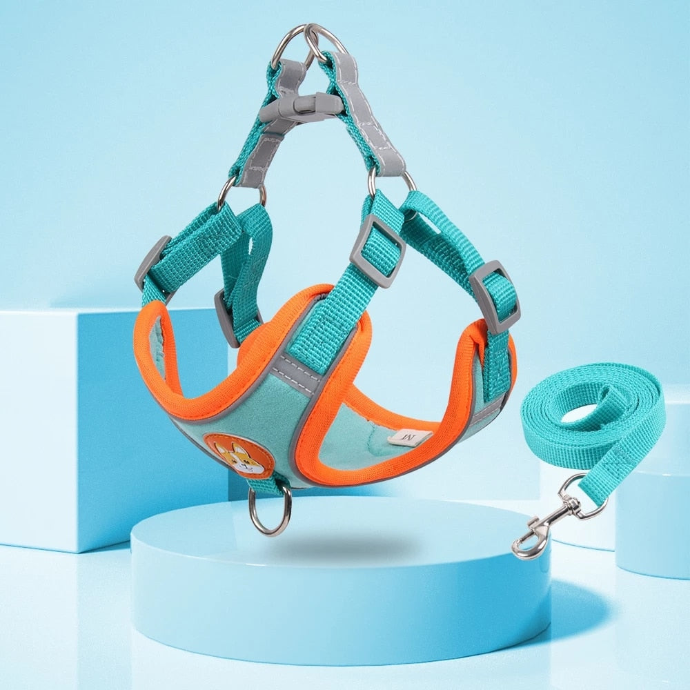 Reflective Adjustable Step-in Dog Harness & Leash Set | Comfortable Fit for Small & Medium Breeds | Available in Multiple Colours