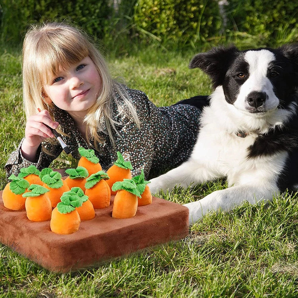 Interactive Dog Toys Carrot Snuffle Mat | Stress Relief Puzzle Toy for Dogs with 4 or 12 Chewable Carrots | Ideal for Mental Stimulation and Nosework