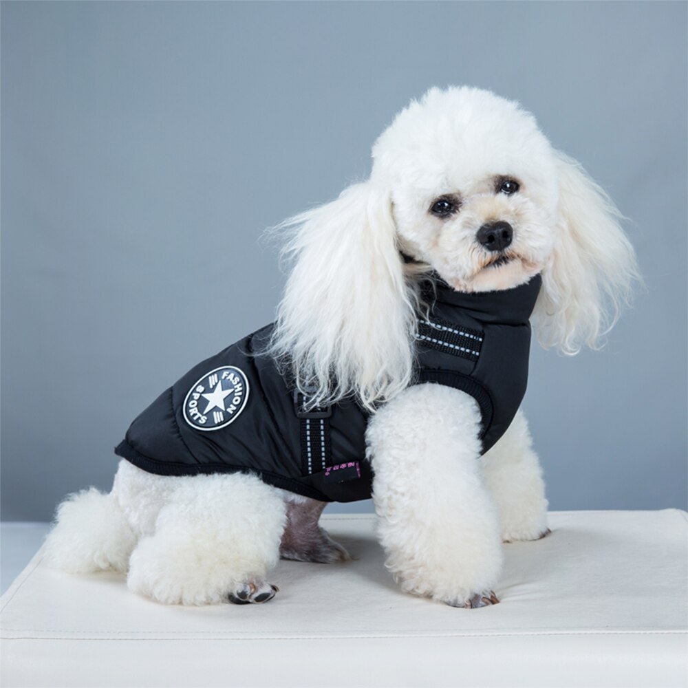 Winter Dog Jacket with Built-In Harness | Waterproof, Warm, and Stylish Dog Coat for Small to Large Breeds