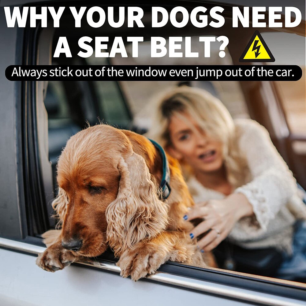 2-in-1 Dog Seat Belt Harness | Adjustable Bungee Leash & Headrest Restraint with Reflective Stitching