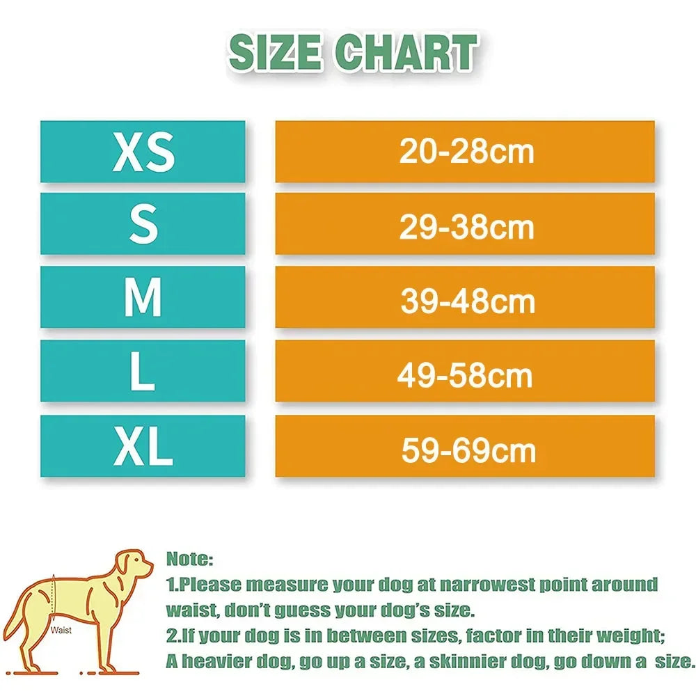Male Dog Belly Bands | Washable Reusable Dog Diapers with High Absorbency for Male Dogs