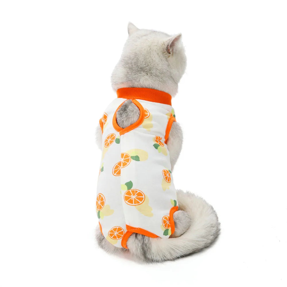 Cat Recovery Suit | E-Collar Alternative