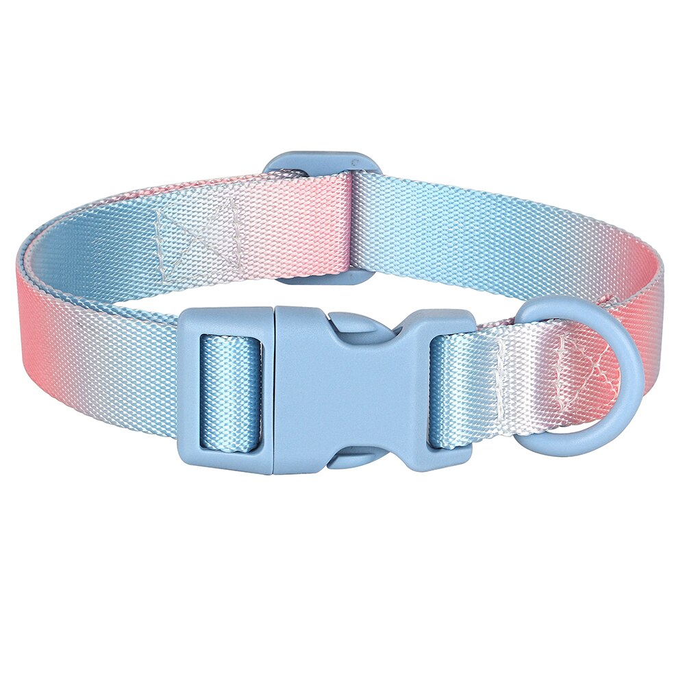 Cute Nylon Dog Collar Colourful Print Pet Collars | Fashion Printed Style Puppy Collar for Small & Medium Dogs