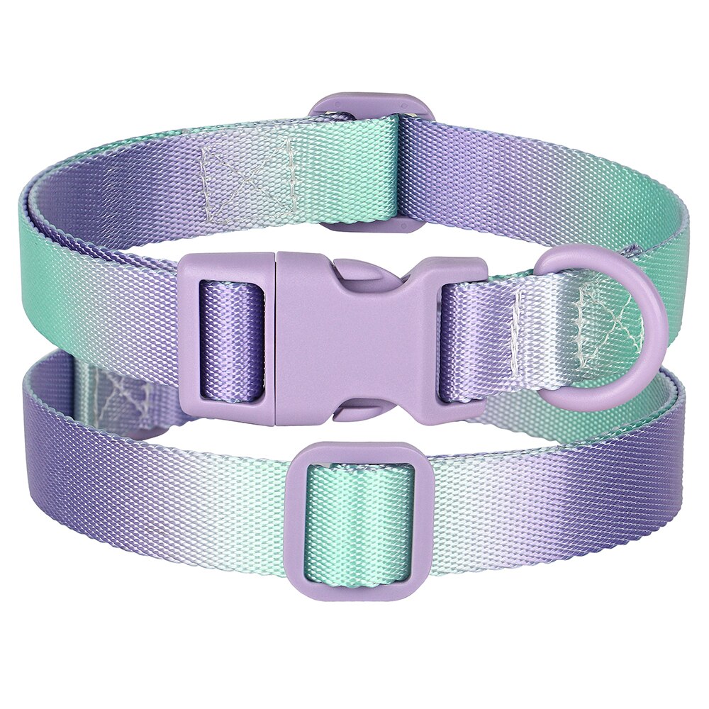 Cute Nylon Dog Collar Colourful Print Pet Collars | Fashion Printed Style Puppy Collar for Small & Medium Dogs