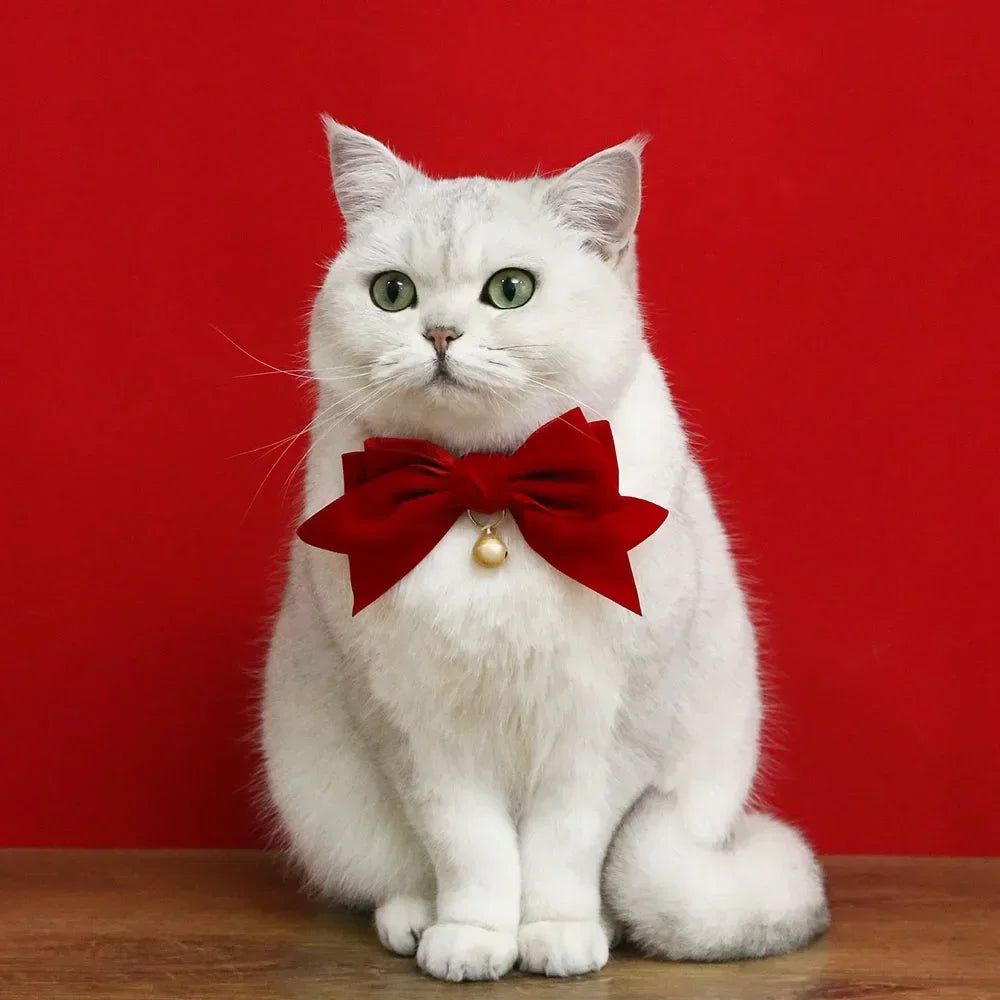 Soft Velvet Cat Collar with Bow | Adjustable Breakaway Safety Buckle in Red and Pink