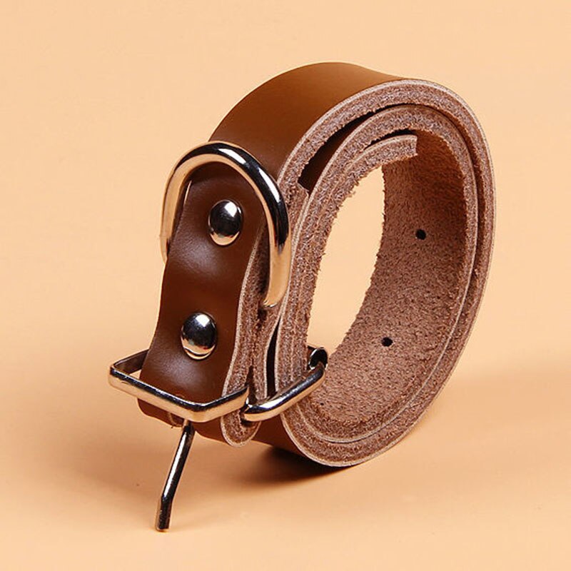 Adjustable Leather Dog Collar & Leash Set | Genuine Leather, Metal Buckle & D-Ring