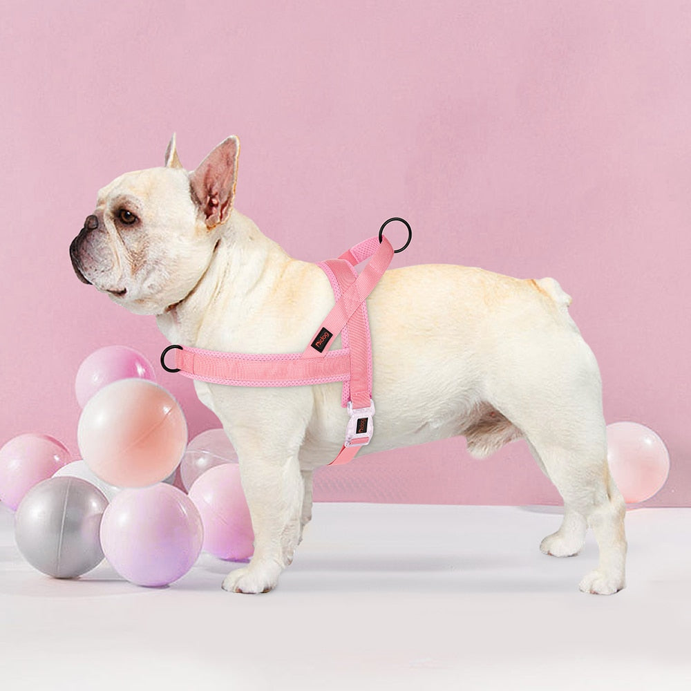 Adjustable Nylon Dog Harness with Quick-Release Buckle | Colourful Vest for Small, Medium, and Large Dogs