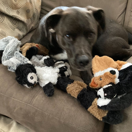 Stuffingless Animal Plush Dog Toy | Squeaky & Crinkle