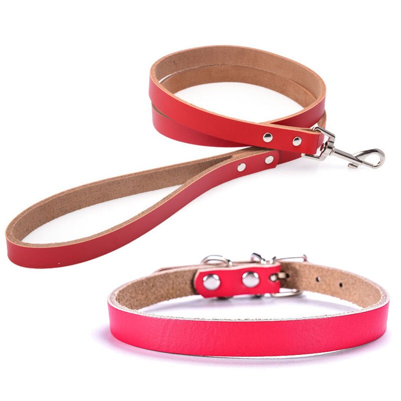 Adjustable Leather Dog Collar and Leash Set | Multiple Sizes & Colours for Small to Large Dogs