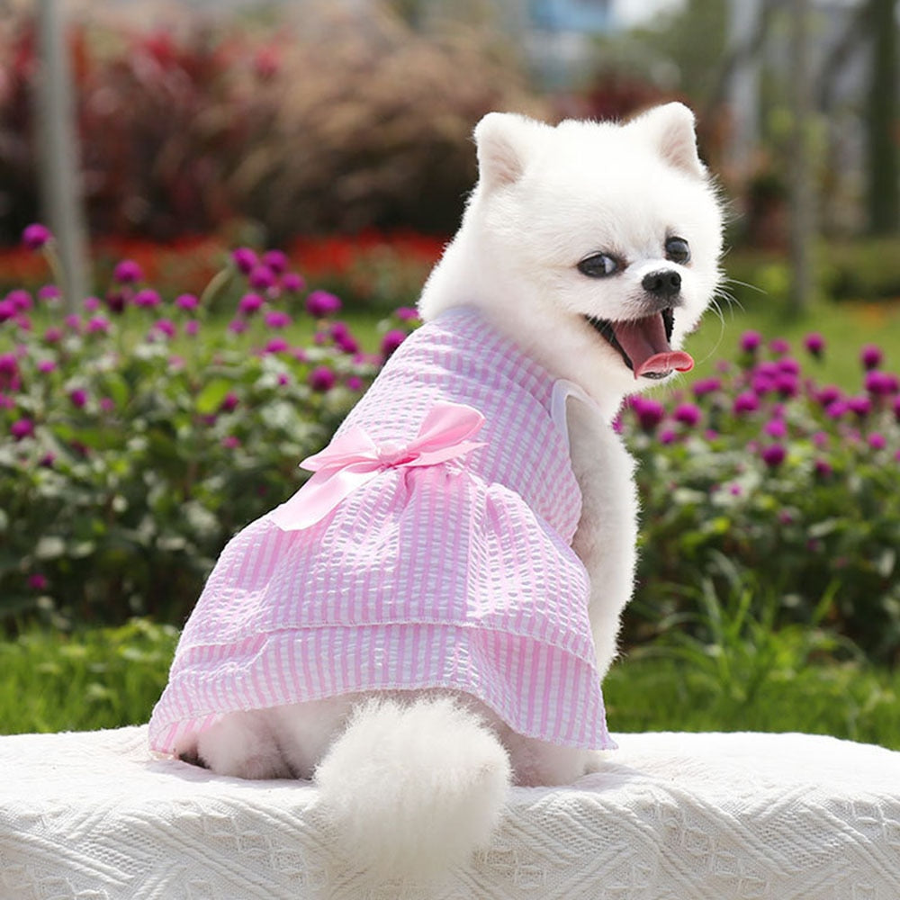 Summer Gingham Dog Dress | Adorable Pet Apparel with Bow Details and Lightweight Design for Small Dogs and Cats