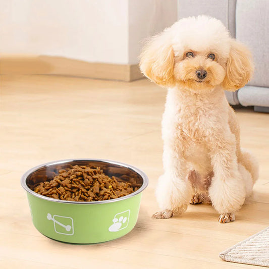 Non-Slip Food Bowl with Rubber Base