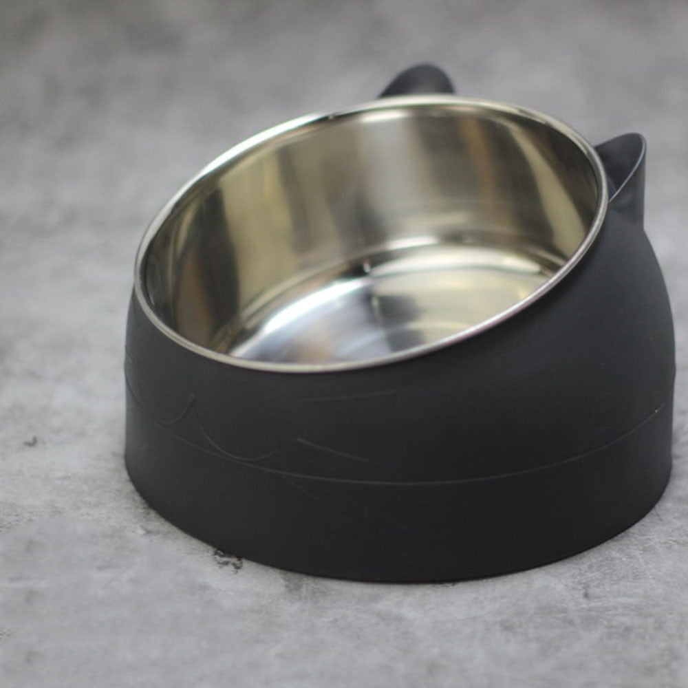 15-Degree Raised Stainless Steel Pet Bowl | Non-Slip Elevated Feeder for Cats & Small Dogs