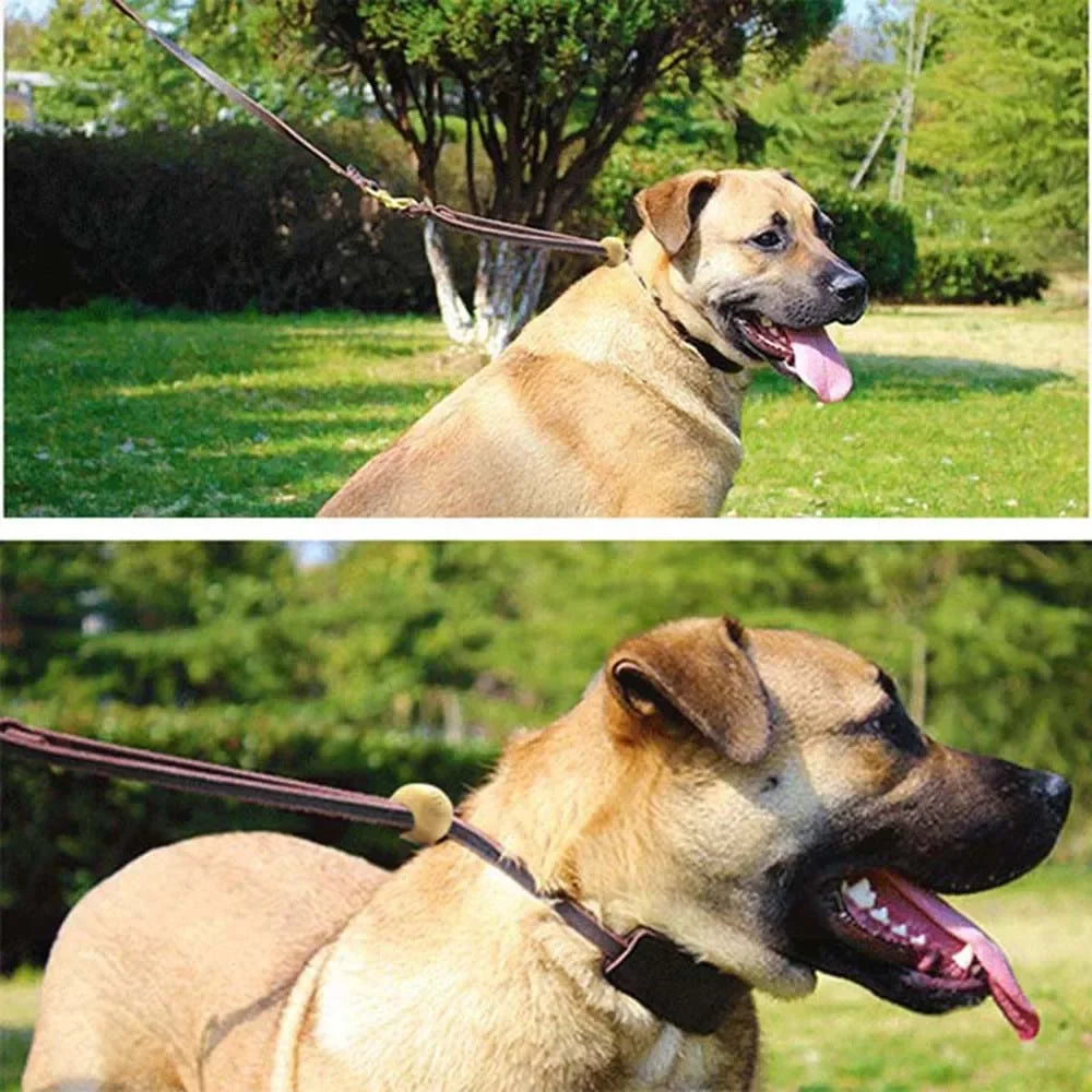 Real Leather Martingale Dog Collar | Soft Adjustable Leather Collar for Medium and Large Dogs