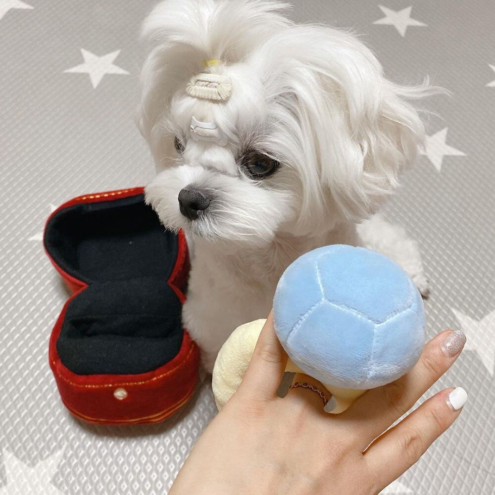 Creative Ring Box Plush Toy | Interactive Pet Chew Toy with Sound for Puppies and Small Dogs