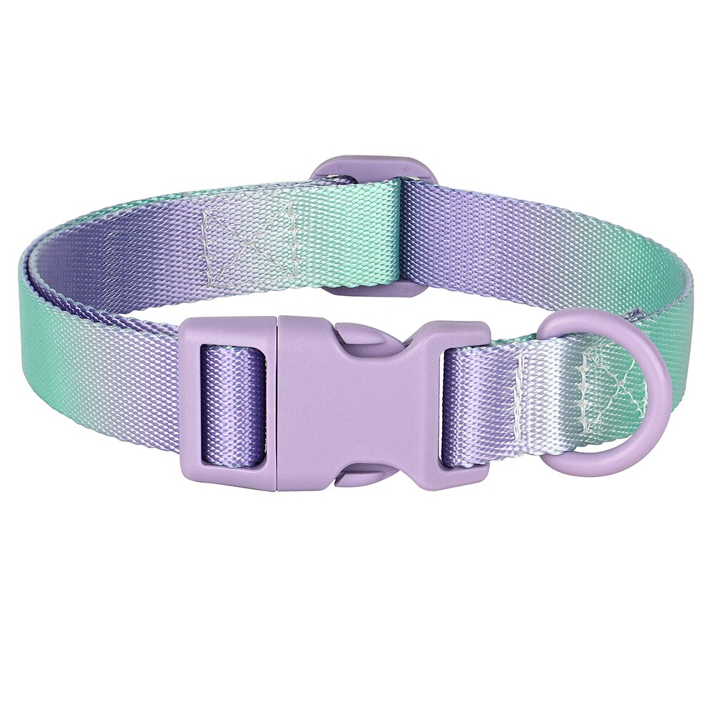 Cute Nylon Dog Collar Colourful Print Pet Collars | Fashion Printed Style Puppy Collar for Small & Medium Dogs