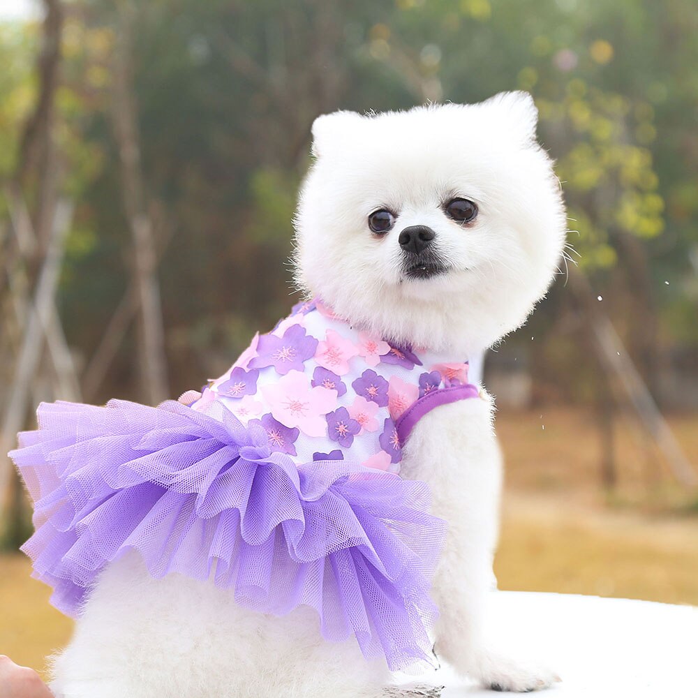 Lace Chiffon Floral Pet Dress | Summer Wedding Party Costume for Small Dogs & Cats