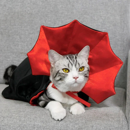 Cat Halloween Costume | Red & Black Cloak