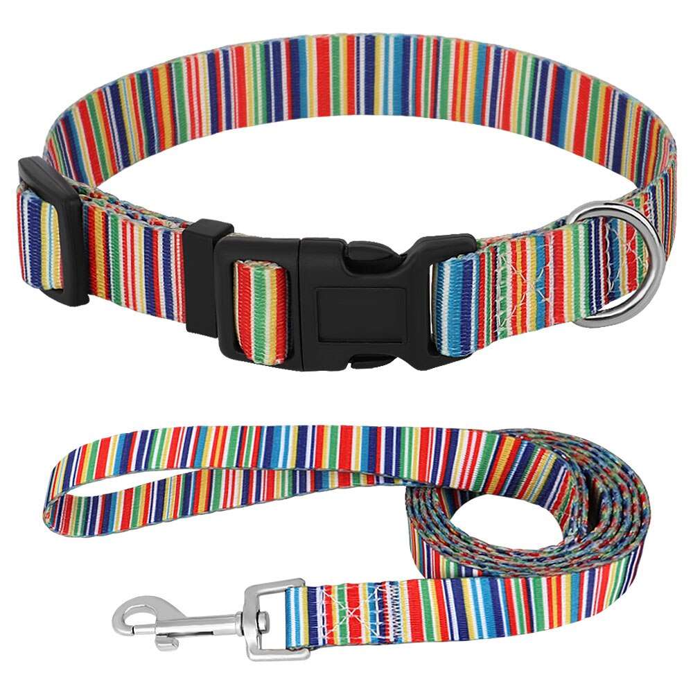 Adjustable Puppy Dog Collar and Leash Set with Cute Printed Design for Dogs and Cats | Walking Lead and Collar Combo