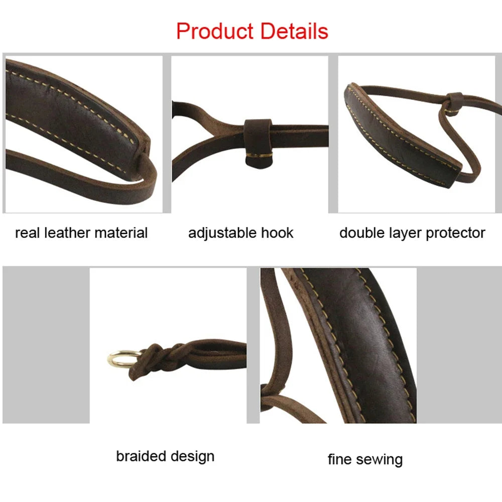 Real Leather Martingale Dog Collar | Soft Adjustable Leather Collar for Medium and Large Dogs