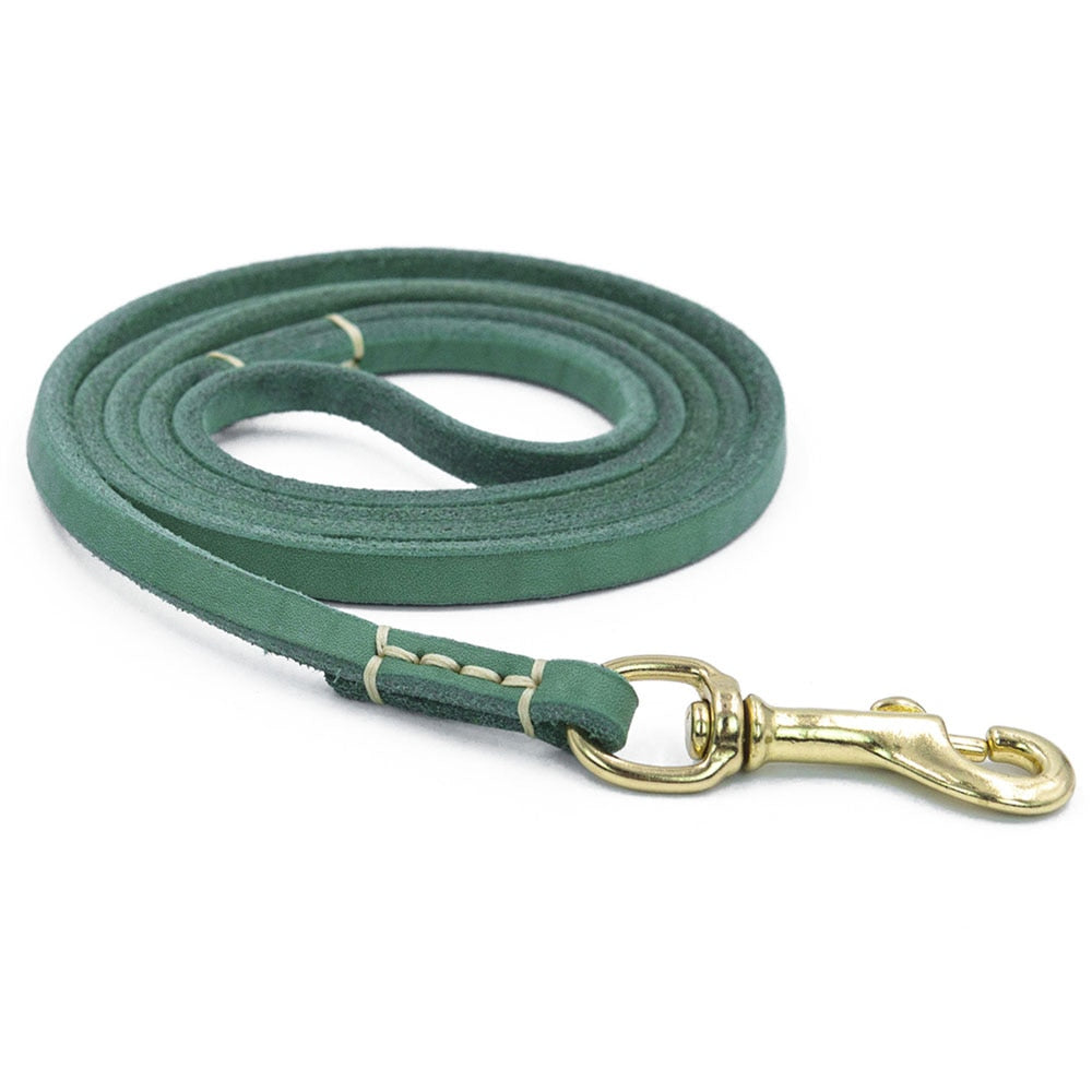 Handmade Genuine Leather Pet Leash | Lightweight Dog & Cat Leash in Multiple Colours Available