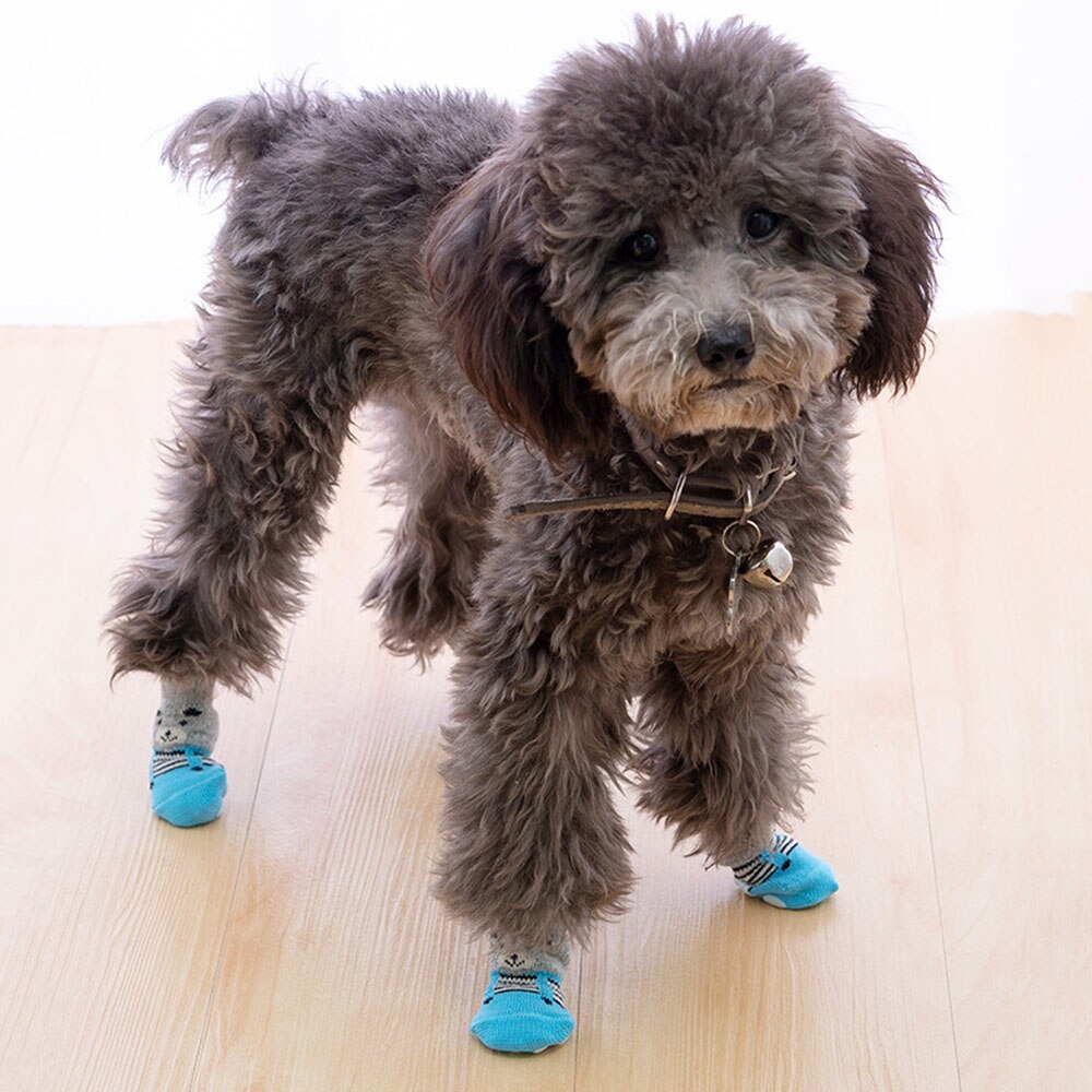 Non-Skid Pet Socks | Indoor Traction Control Socks for Small and Medium Dogs | Paw Protectors for Hardwood Floors