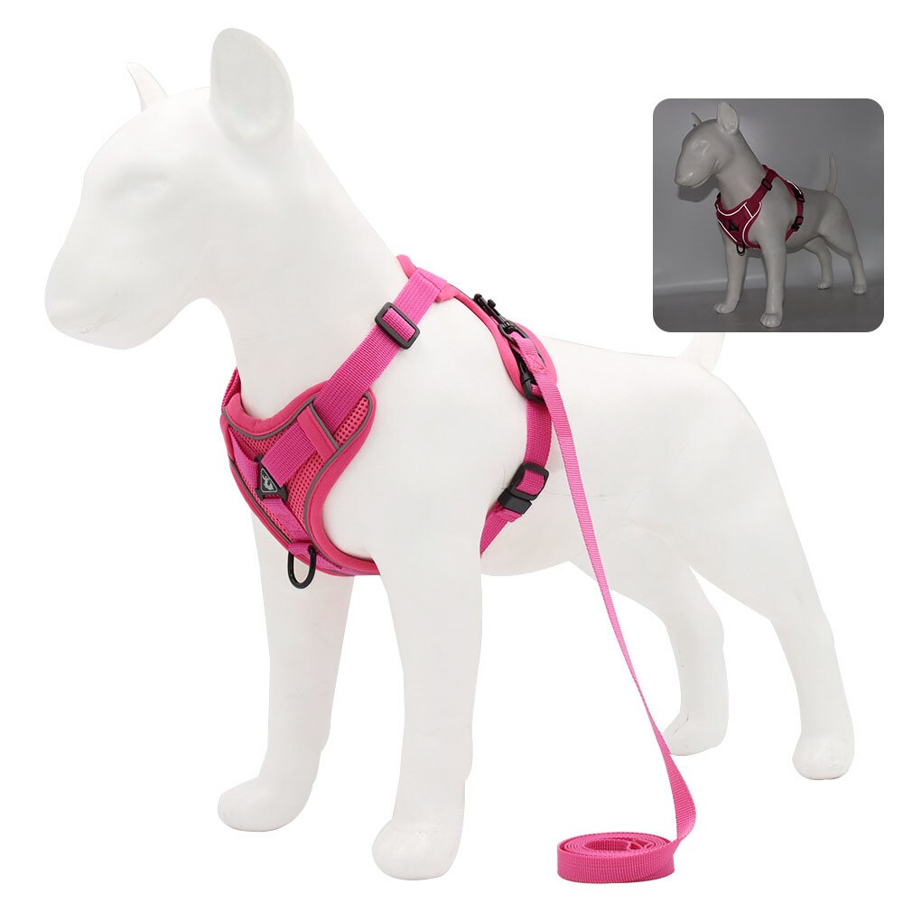 Adjustable Breathable Pet Harness with Leash | Perfect for Cats, Small Dogs, and Puppies | Soft and Comfortable Fit