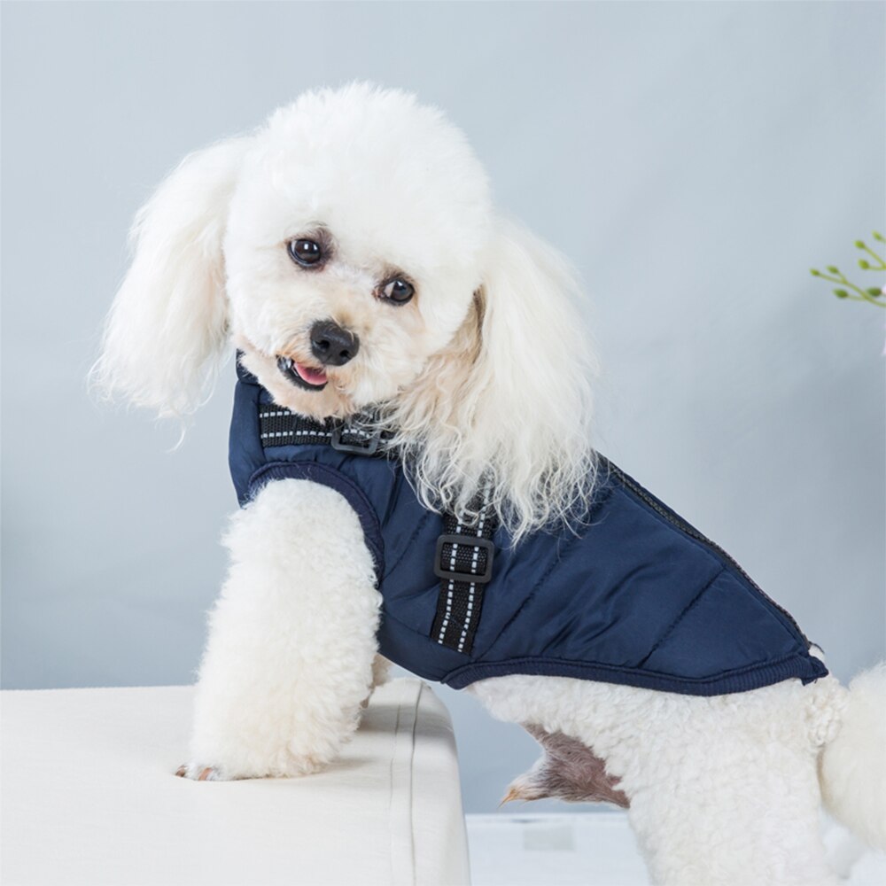 Winter Dog Jacket with Built-In Harness | Waterproof, Warm, and Stylish Dog Coat for Small to Large Breeds
