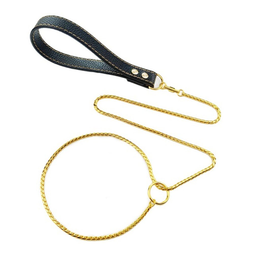 304 Stainless Steel Dog Slip Chain Collar & Leash | Integrated Training Leash with Durable Leather Handle, Multiple Colours