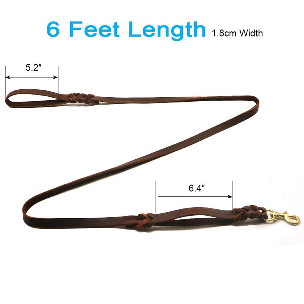 Braided Leather Dog Leash with Traffic Handle | Durable Two-Handle Design for Training Bulldogs and Pit Bulls
