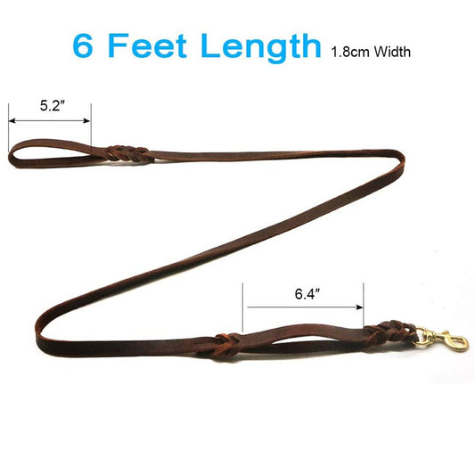 Braided Leather Dog Leash with Handles