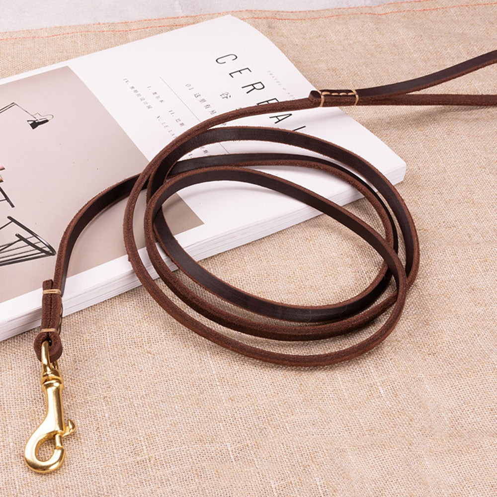 Handmade Genuine Leather Pet Leash | Lightweight Dog & Cat Leash in Multiple Colours Available