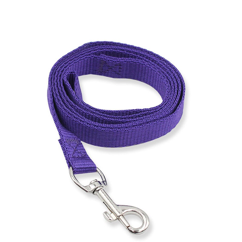 Heavy Duty Nylon Pet Dog Leash | Colourful and Durable Lead for Small Dogs and Cats, Ideal for Walking and Training