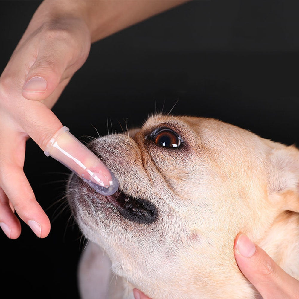 Pet Fingertip Toothbrush | Super Soft Oral Care Finger Brush for Dogs & Cats, Gentle Tooth Cleaning for All Pets