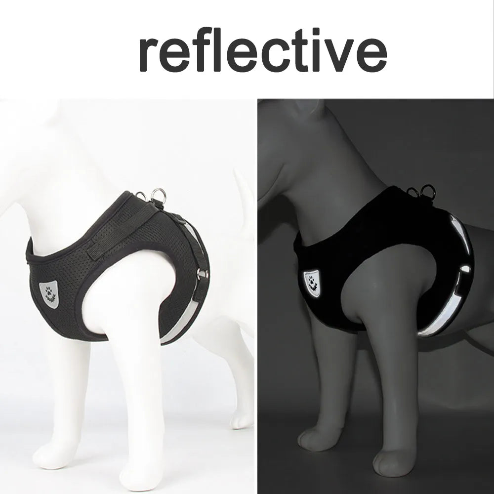 Adjustable Reflective Cat Harness and Leash Set | Escape-Proof Breathable Vest for Cats and Small Dogs